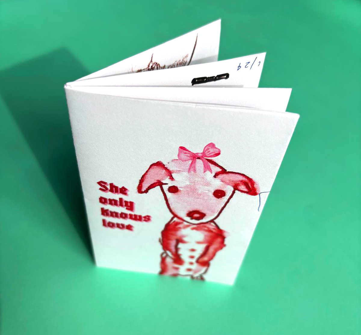 A zine standing up, with a watercoloured illustration of a chihuahua. Title reads "She only knows love" 