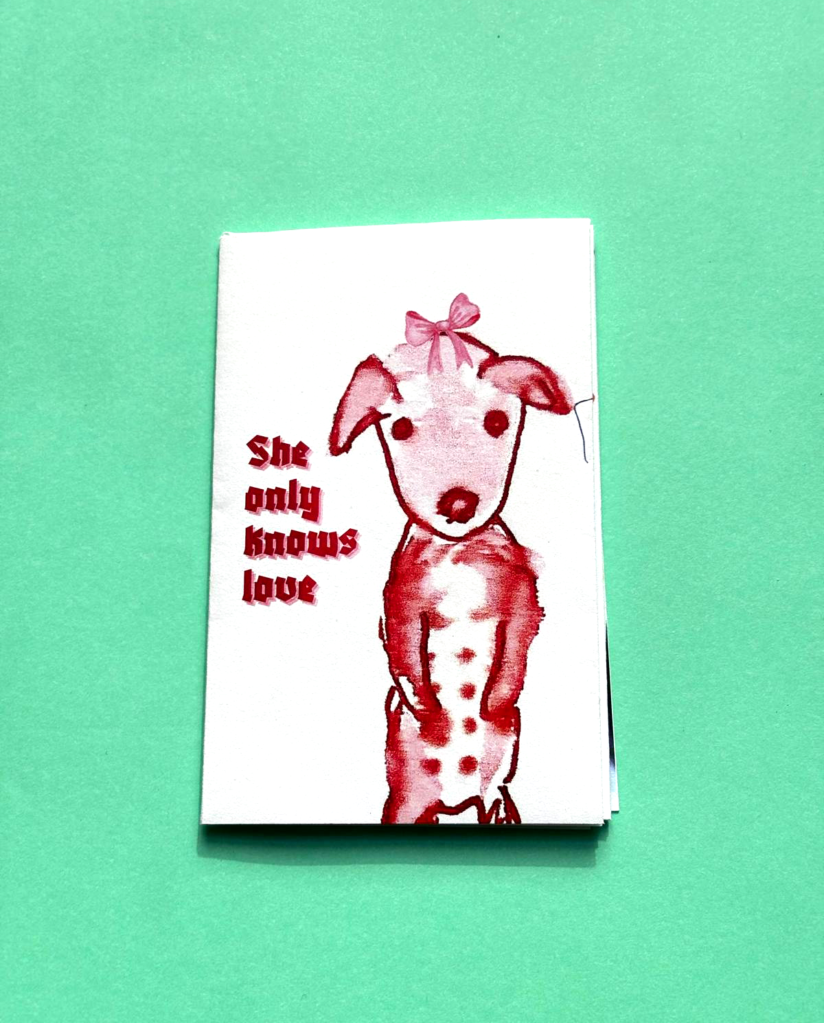 A zine laying flat with a watercoloured chihuahua on the cover. Title reads "She only knows love" 